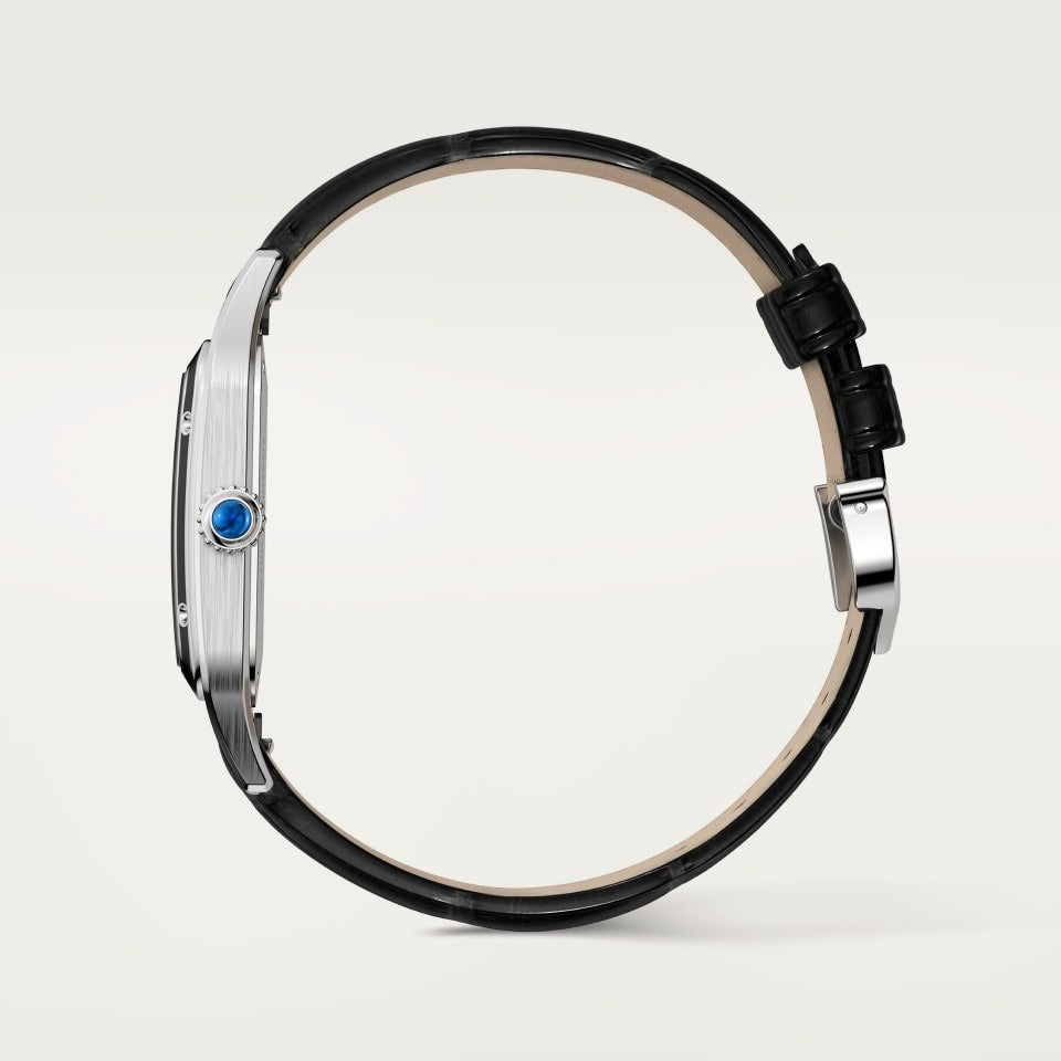 Side View Cartier Santos Dumont Large WSSA0046