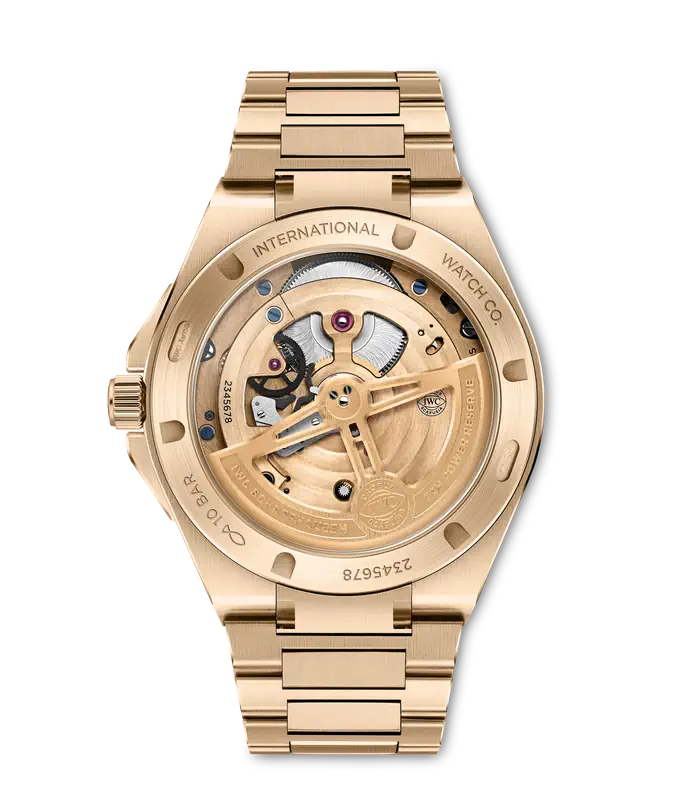 Back View IWC Ingenieur Tourbillon 41 Watch.