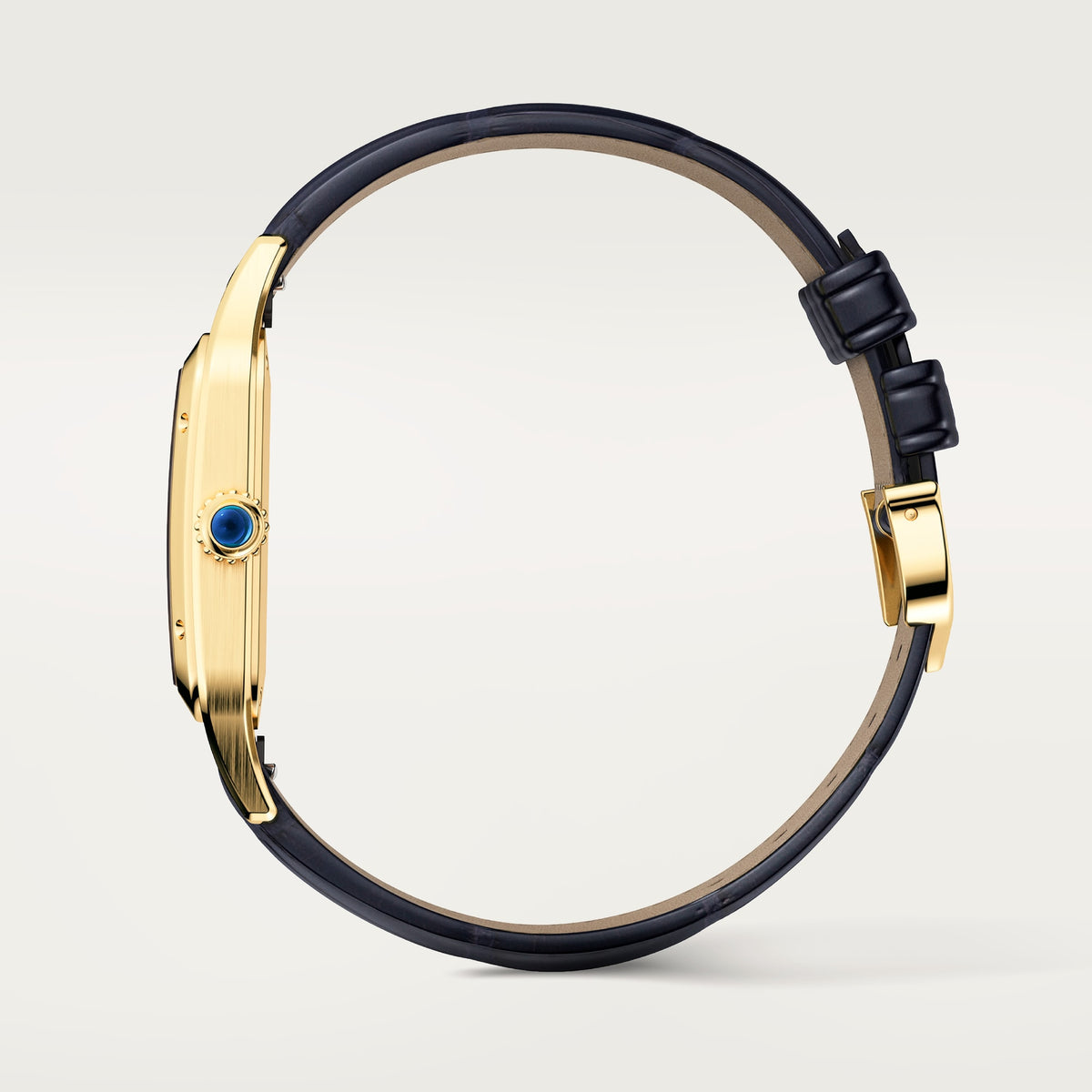 Cartier Santos-Dumont Large Model Blue on Gold WGSA0115