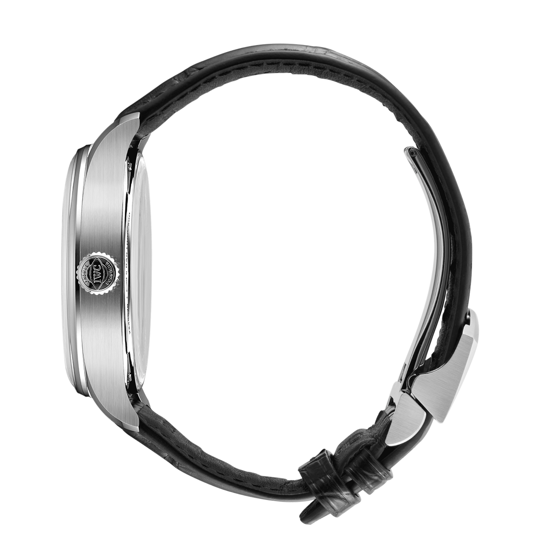 Side View: IWC Portugieser Automatic 42 Year of the Horse IW501709