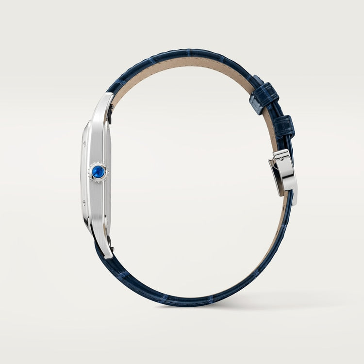 Side view of Cartier Santos-Dumont Large Model Steel WSSA0085