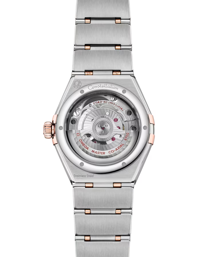 131.25.29.20.99.001 Backcase