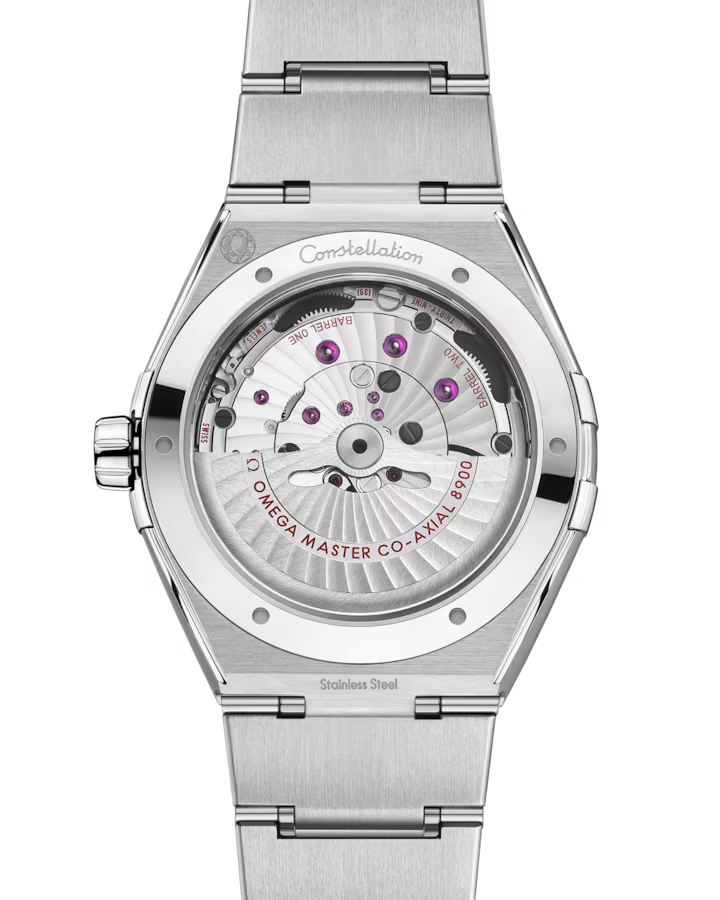 131.30.41.21.99.001 Back case