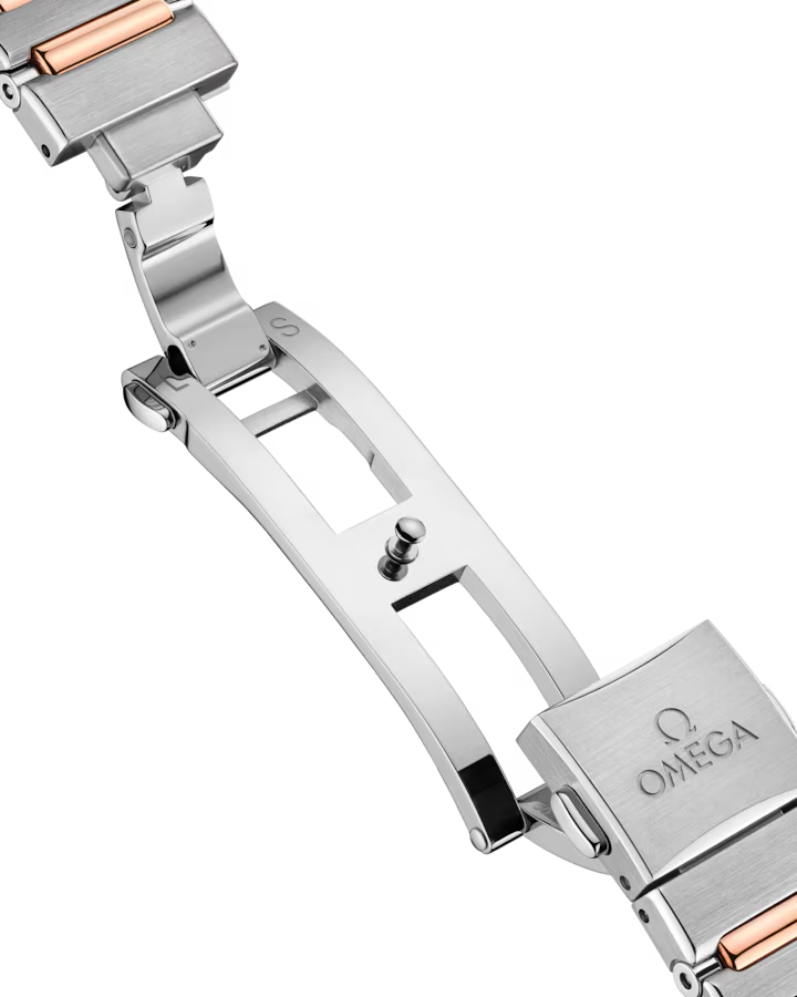 131.25.29.20.99.001 Clasp View 2