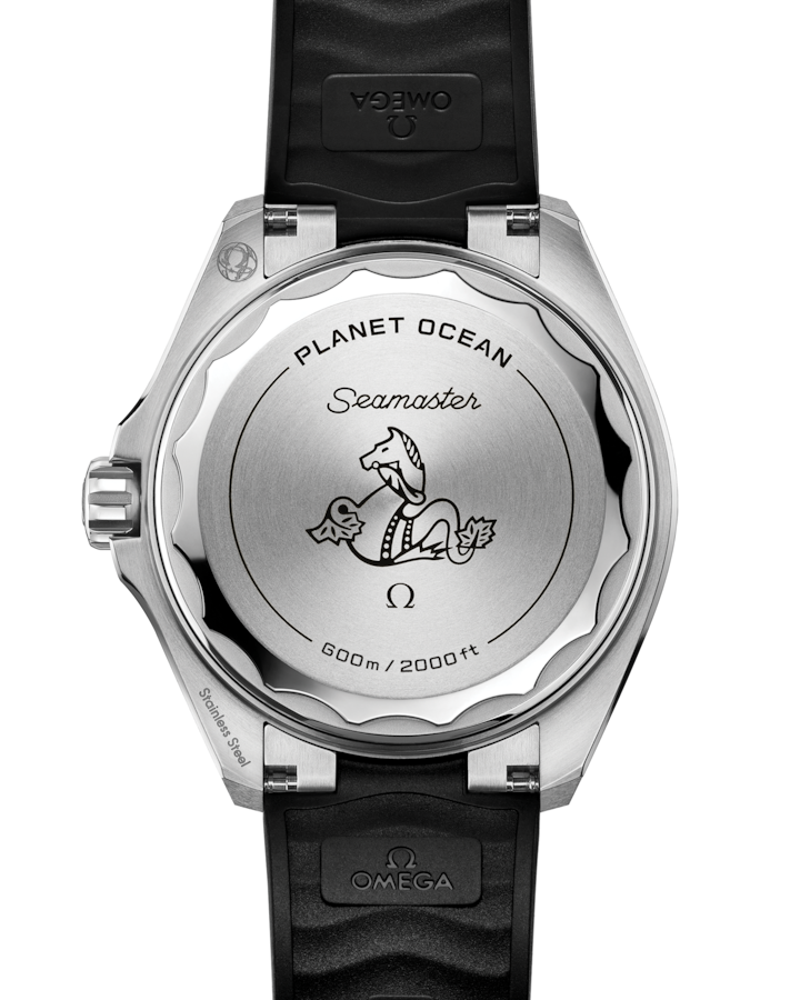 Back View: Omega Seamaster Planet Ocean 600M Steel 217.32.42.21.01.001