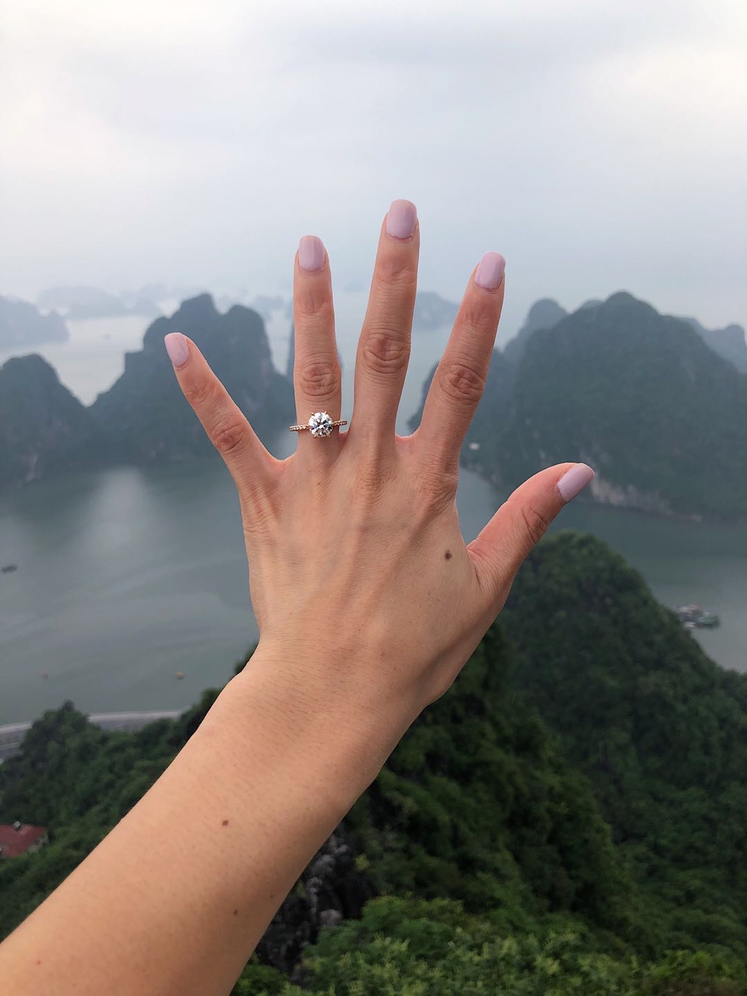 Round Hidden Halo Diamond Engagement Ring