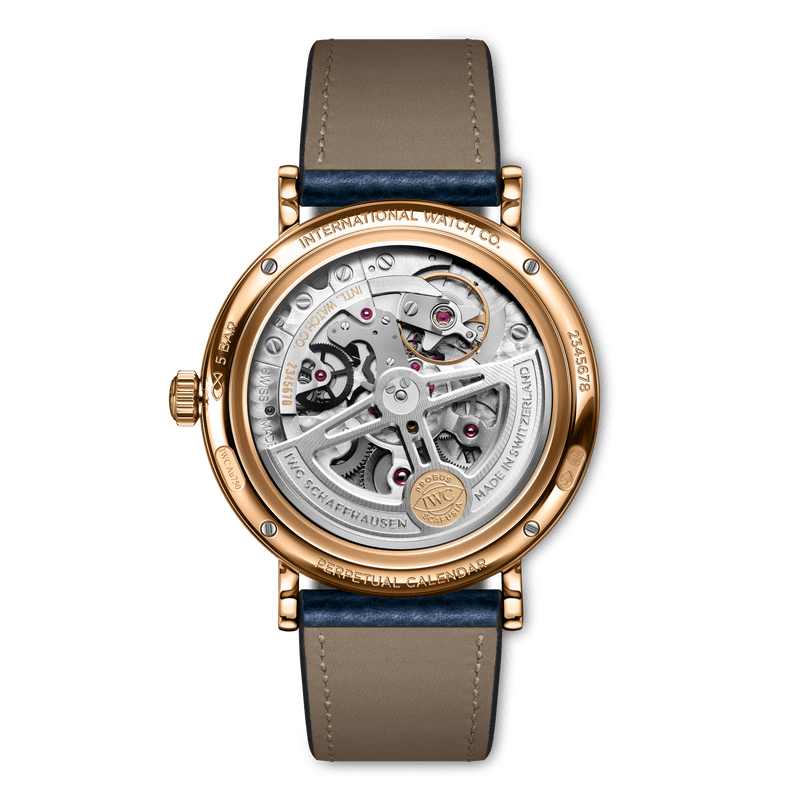 Back view of IWC Portofino Perpetual Calendar IW344602