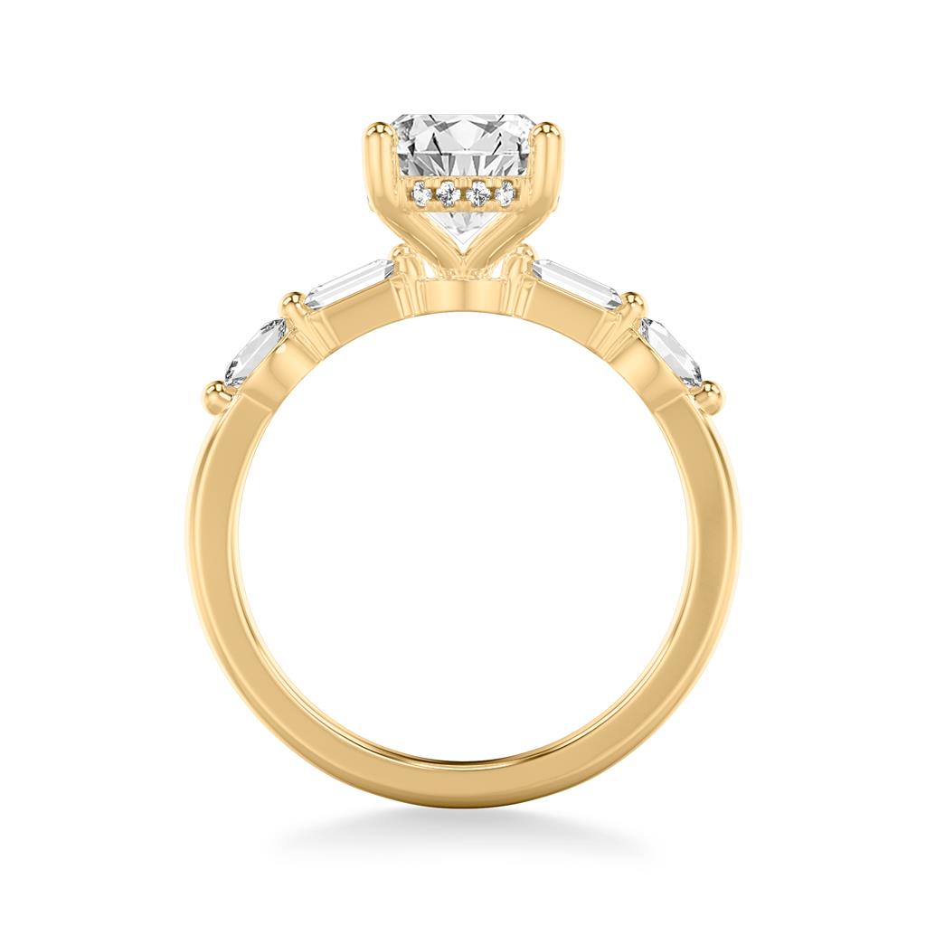 Ring Side View Example