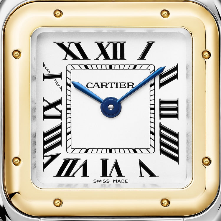 Dial View of Panthere De Cartier Small W2PN0018