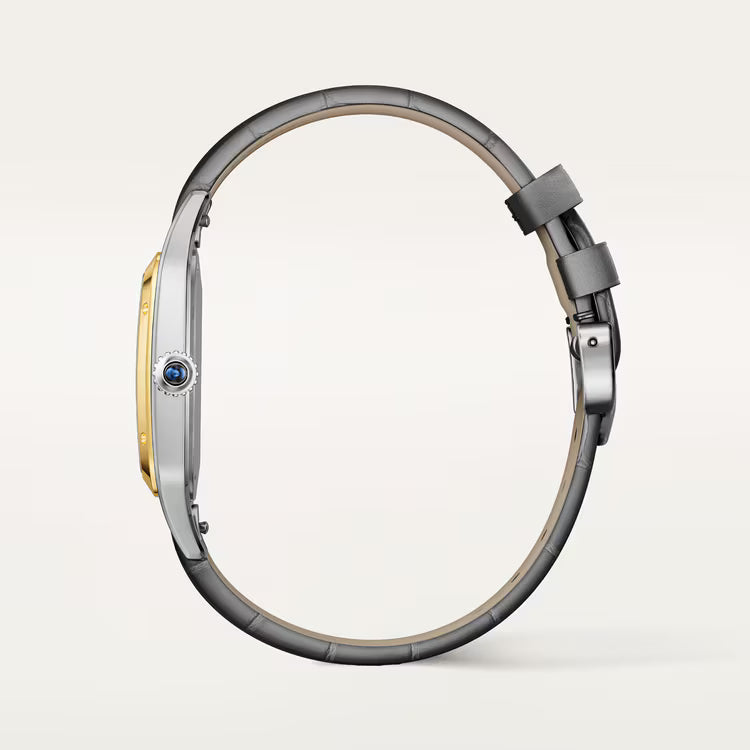 Side View of Cartier Santos-Dumont Large 18K Yellow Gold and Steel Quartz W2SA0046