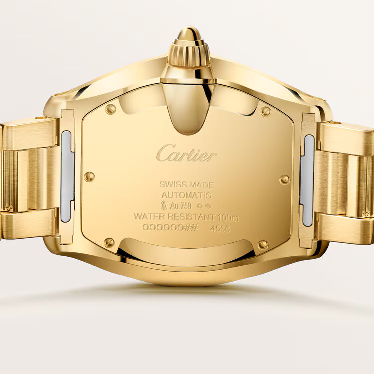 Back of watch showing technical specs, water resistance, and serial numbers.