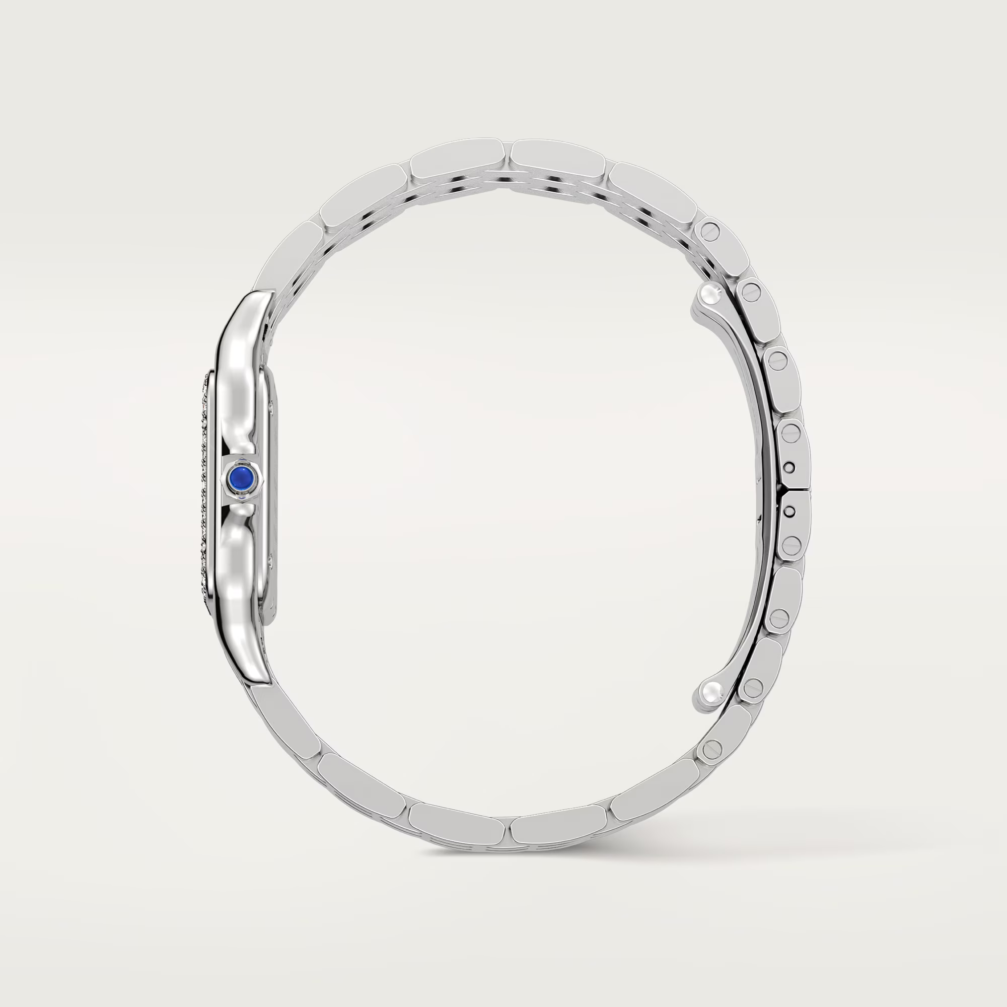 Steel Medium Panthere side view