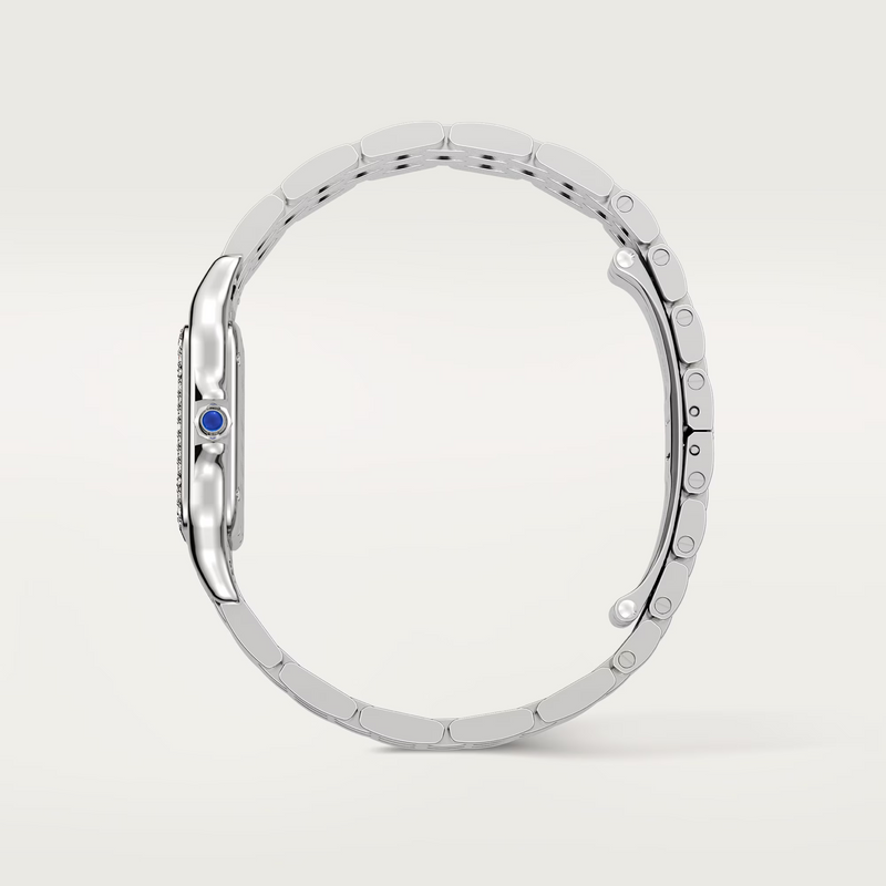 Steel Medium Panthere side view