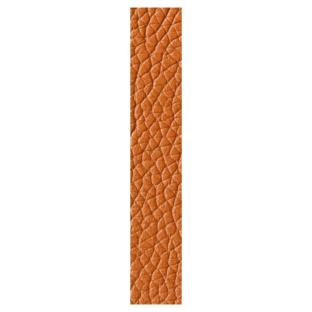 Cartier Orange Grained Calfskin Semi-Matt Strap 20x17 - 115x115 for IADB