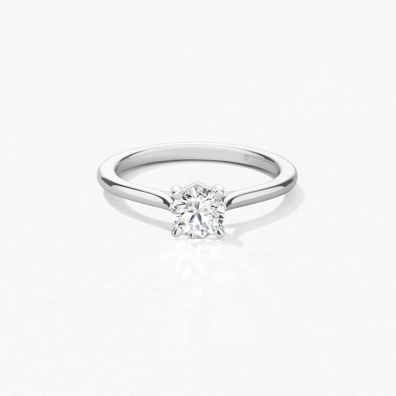 HOF Camilia 4 Prong Setting
