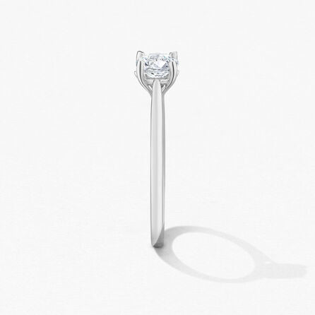 HOF Camilia 4 Prong Setting