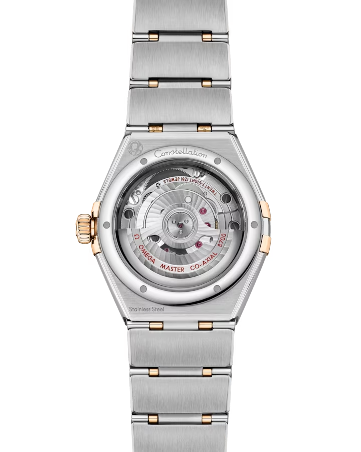 131.25.29.20.99.002 Back view