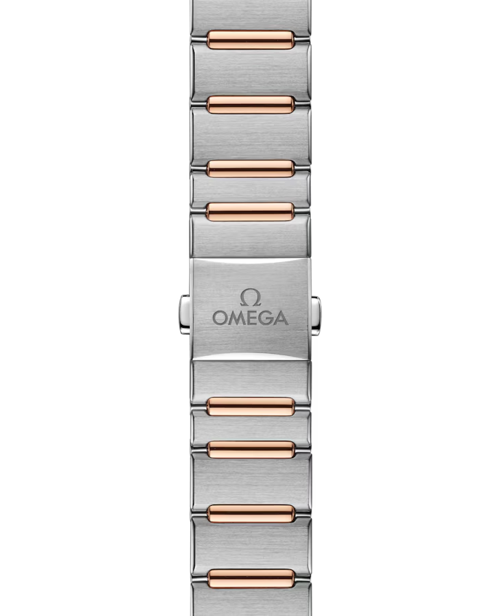 131.25.29.20.99.001 Bracelet View