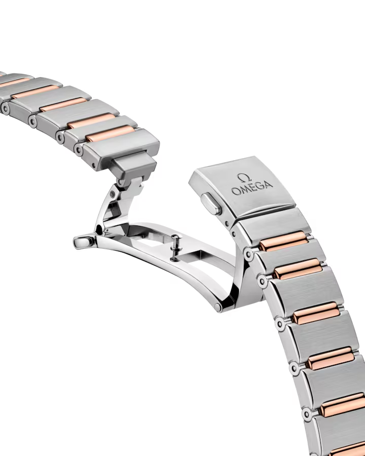 131.25.29.20.99.001  Clasp View
