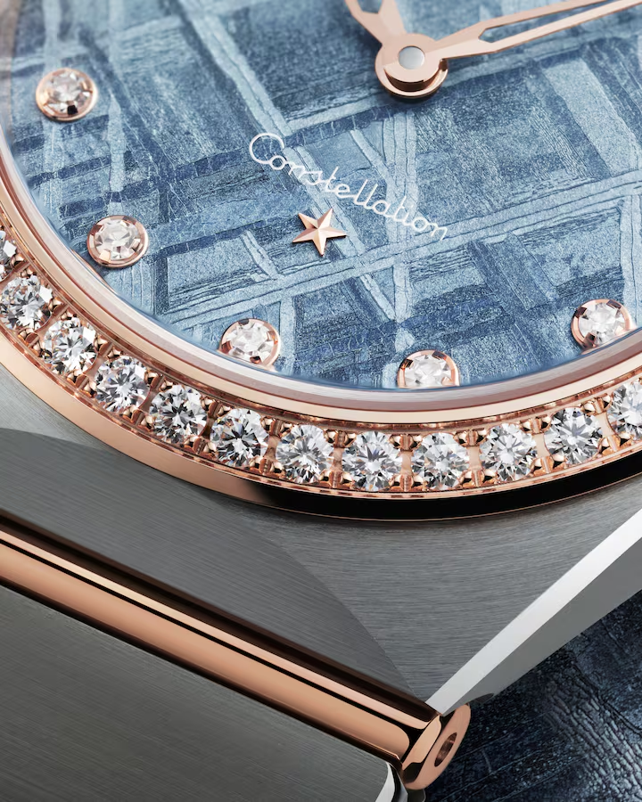 131.25.28.60.99.001 Bezel View