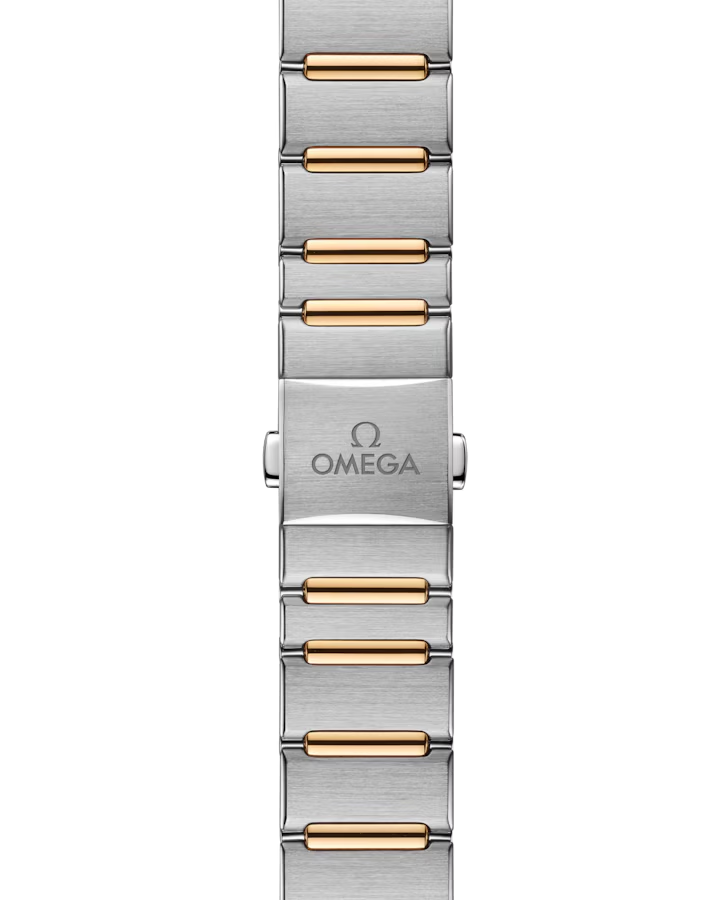 131.25.29.20.99.002 Bracelet View