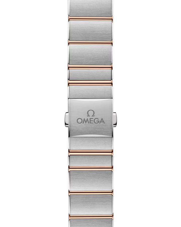 131.25.28.60.99.001 Bracelet View