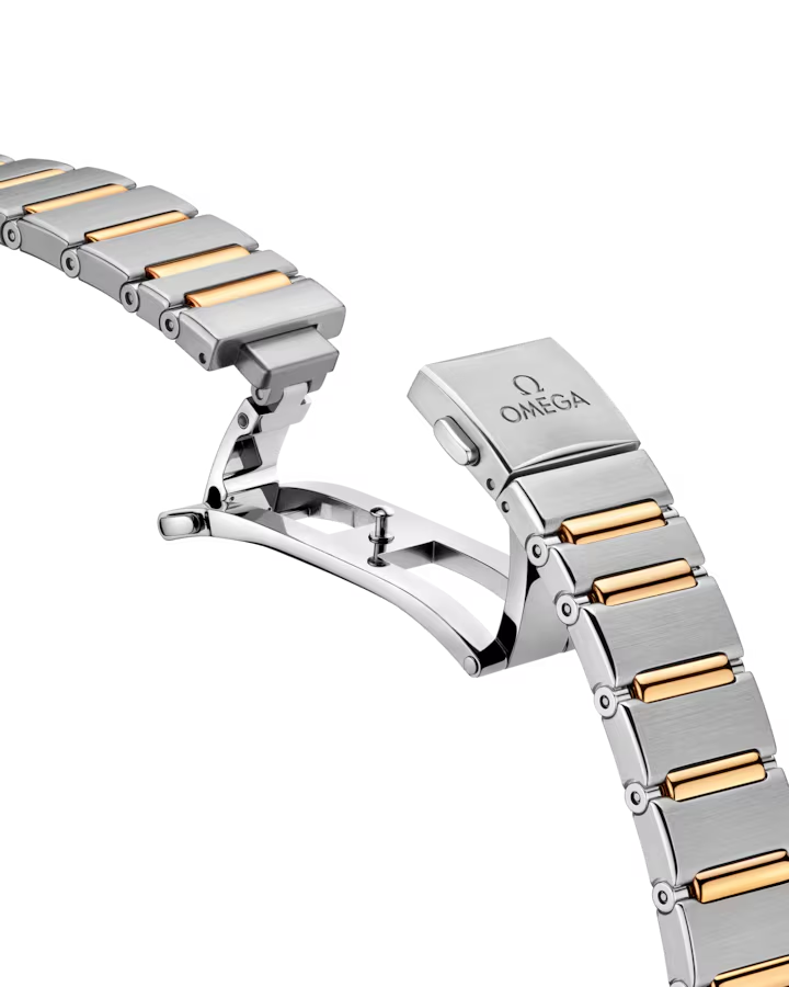 131.25.29.20.99.002 Clasp View