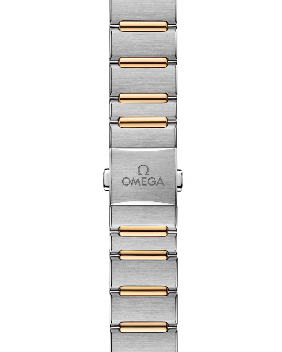 Symmetrical top view of steel and gold bracelet.