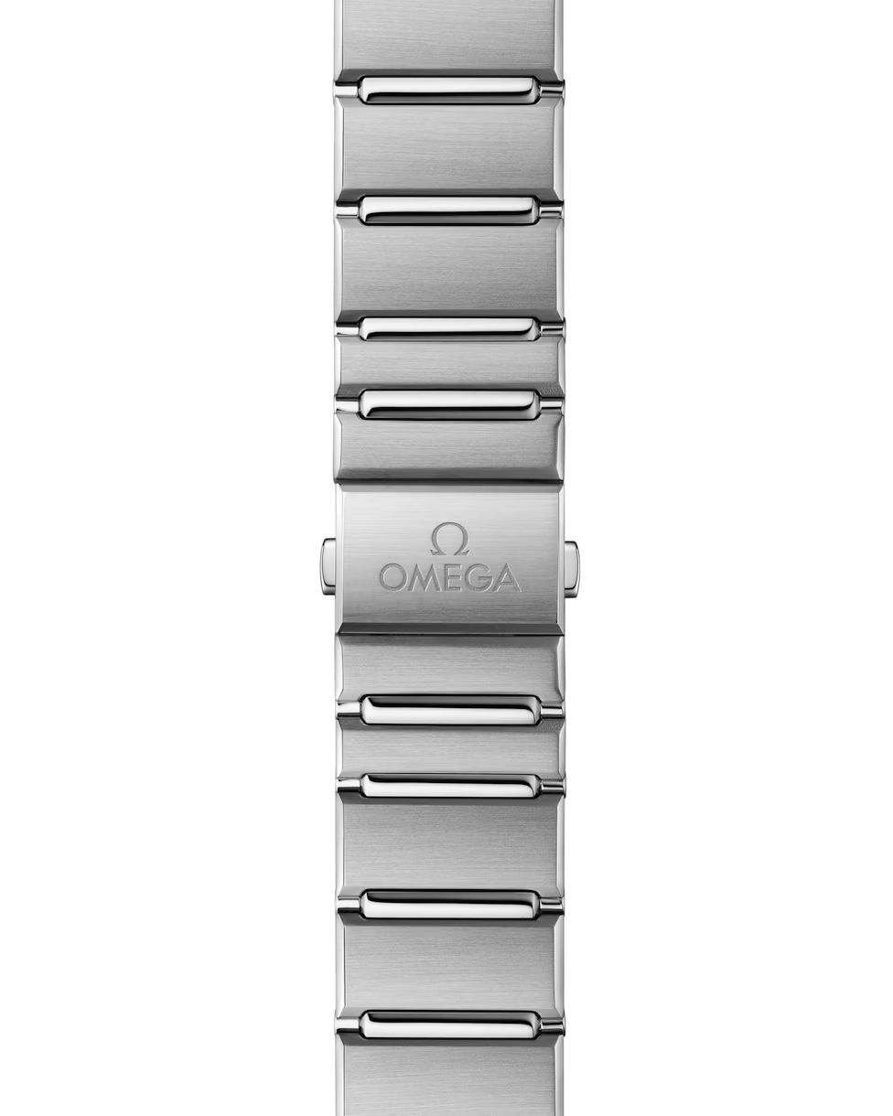 Vertical view of a brushed steel watch bracelet.