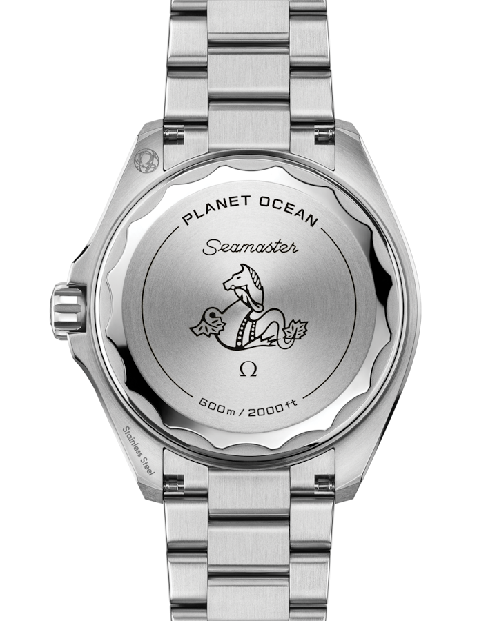 Back View: Omega Seamaster Planet Ocean 600M Steel 217.30.42.21.01.001