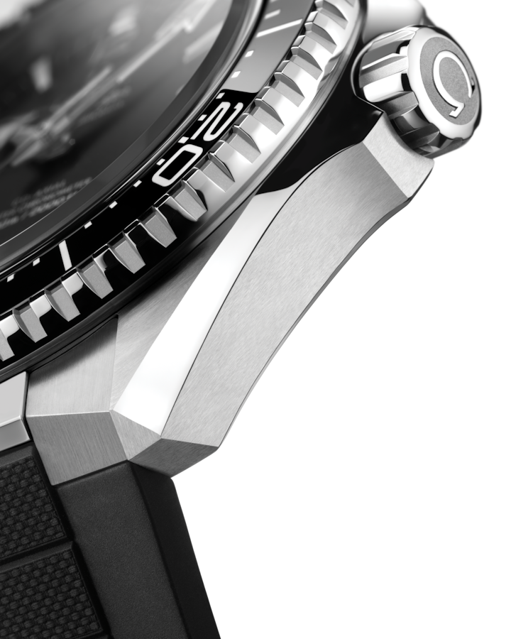 Case View: Omega Seamaster Planet Ocean 600M Steel 217.32.42.21.01.001