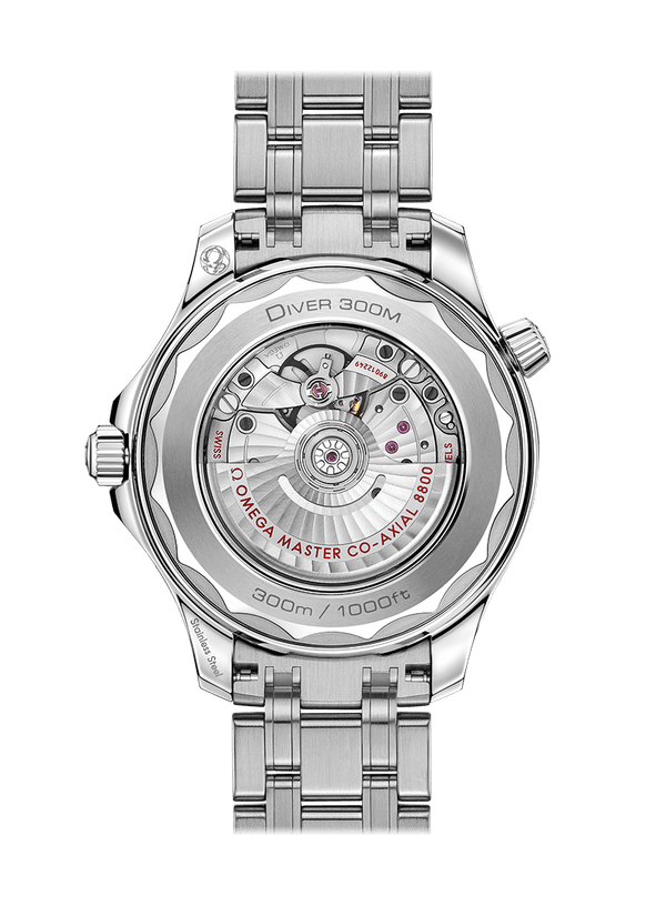 Diver 300M Co-Axial Master Chronometer 42mm