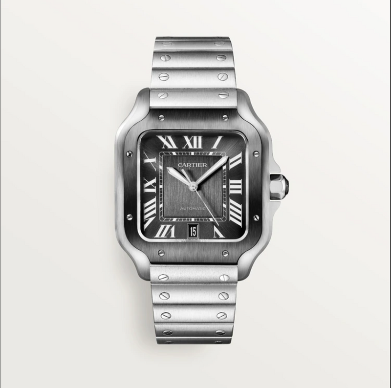 Santos de Cartier ADLC Steel