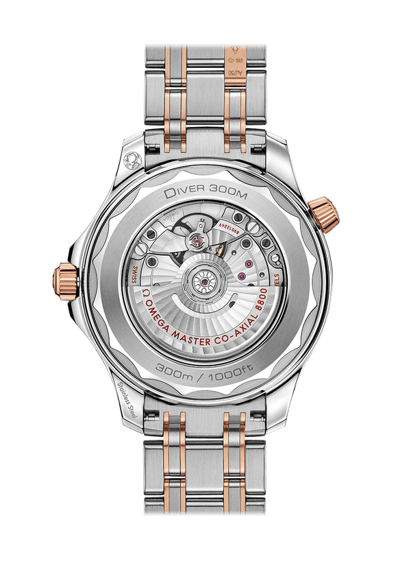Seamaster Diver 300M Co-Axial Master Chronometer 42mm